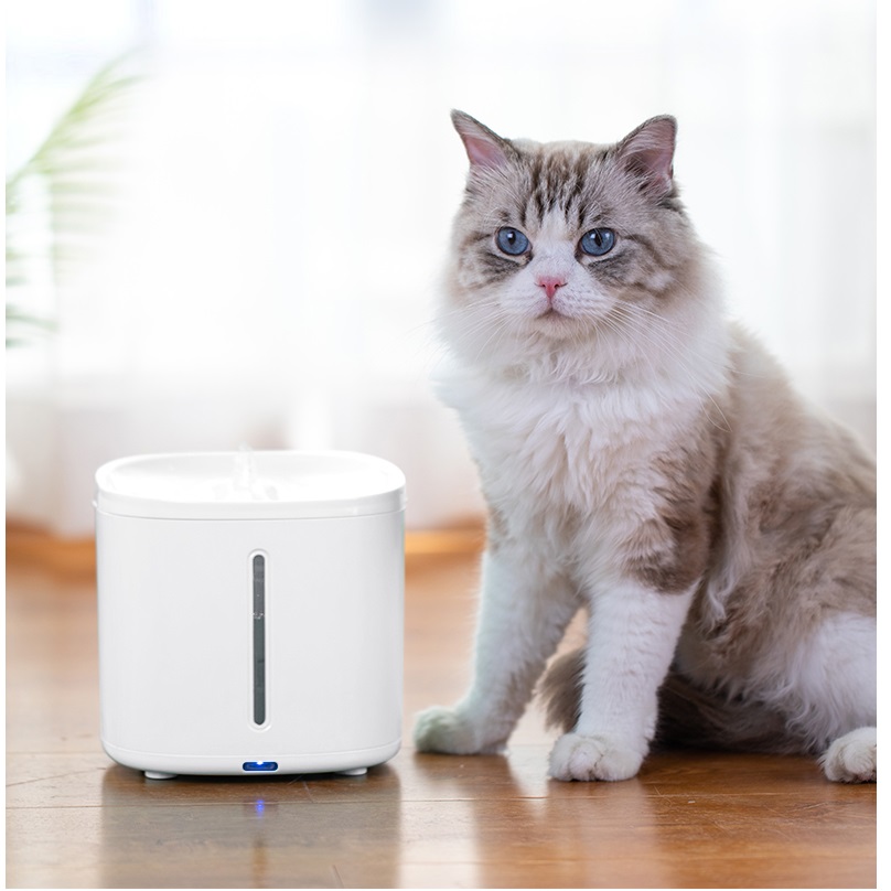 Pet Water Dispenser